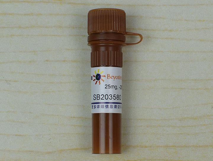 SB203580 (p38 MAPK抑制剂)